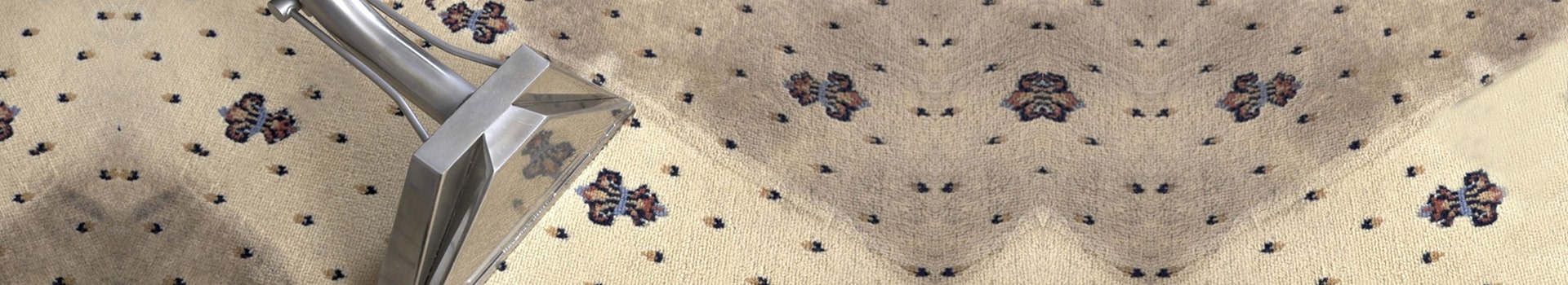 Affordable and Intelligent Carpet Care for Squamish Residents