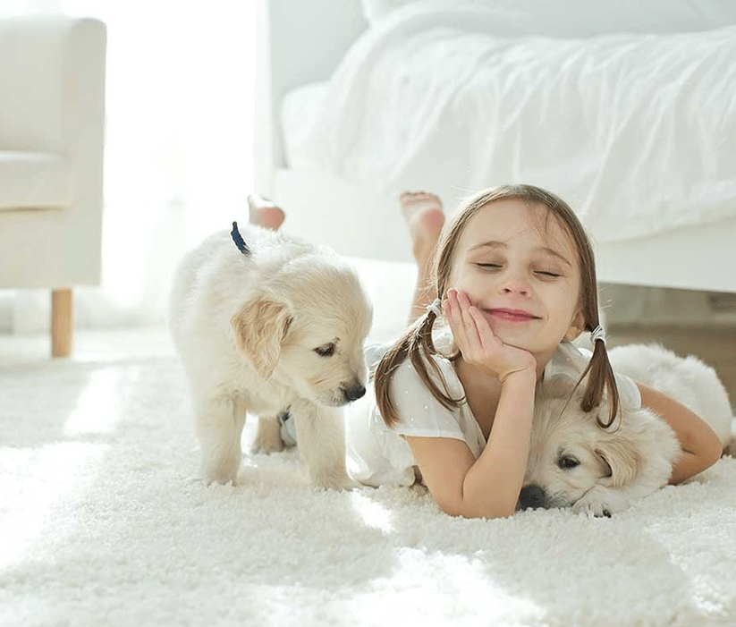 residential carpet cleaning