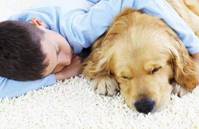 Benefits of Getting Your Carpets Professionally Cleaned