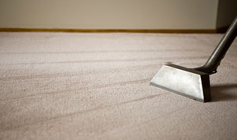 Reasons Why You Need Professional Carpet Cleaning