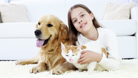 The Importance of Keeping Your Carpet Clean